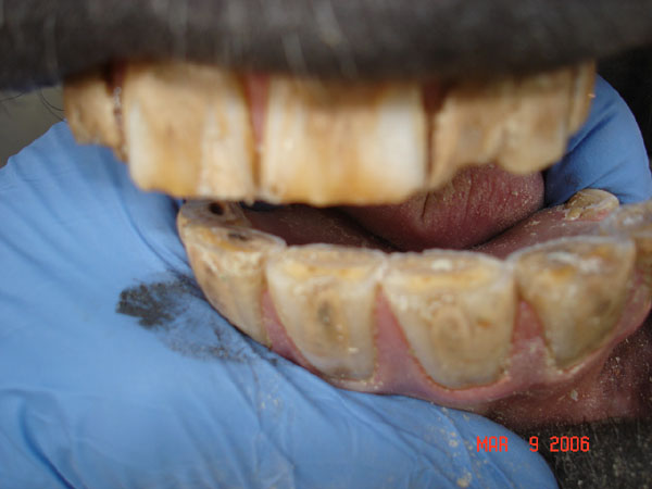 DSC00553