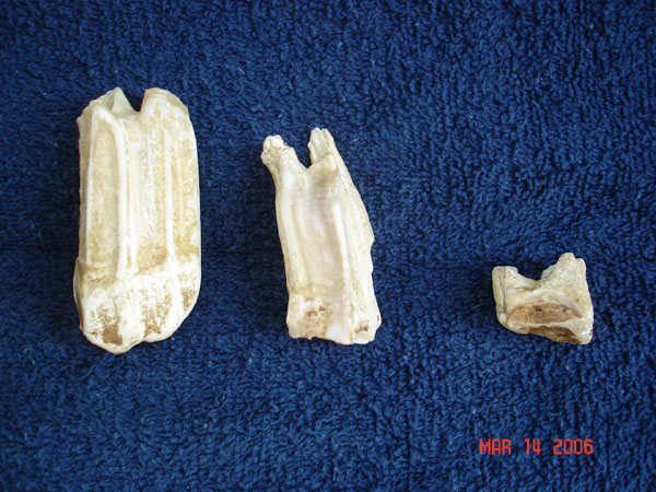 DSC00588