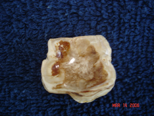 DSC00589