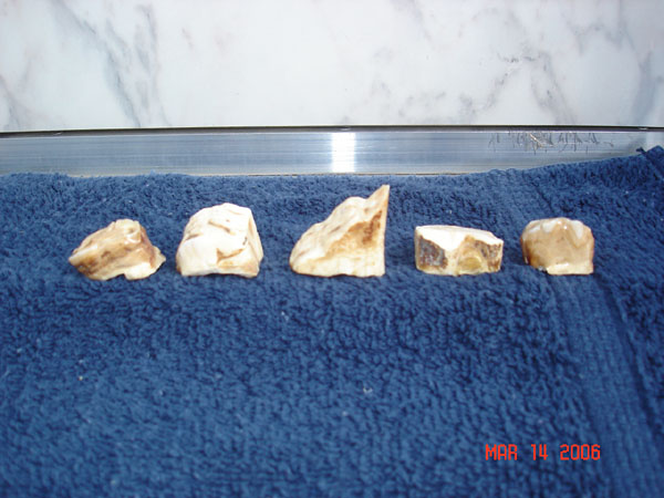 DSC00590