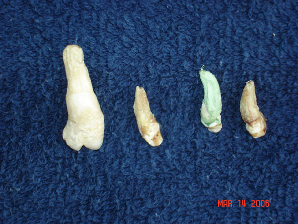 DSC00595