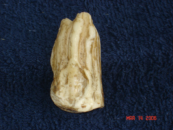 DSC00600