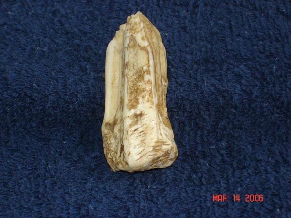 DSC00601