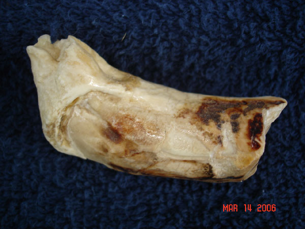 DSC00603