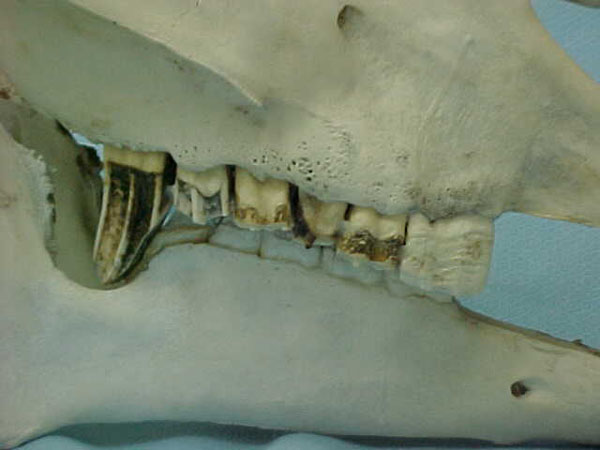 MVC-014S