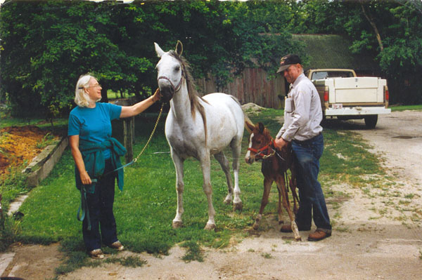 scan0037