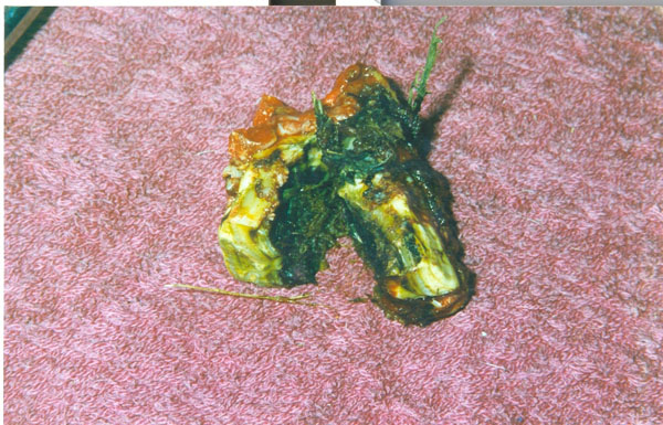 scan0049